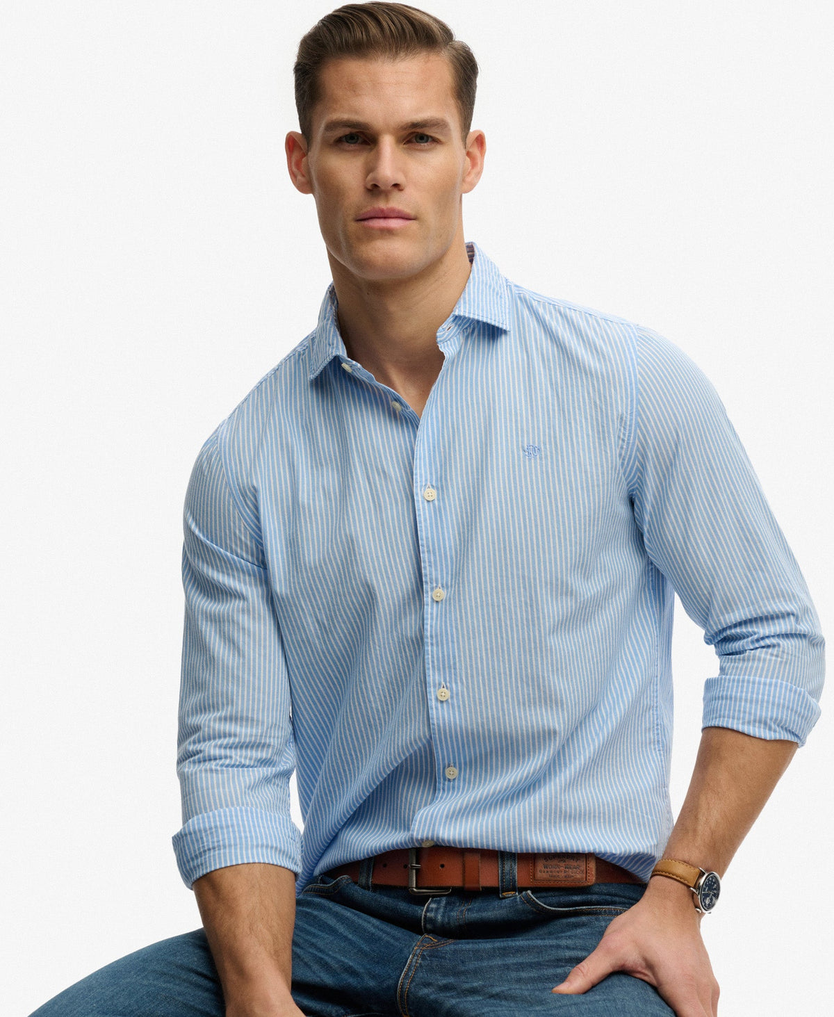 Cut Away Poplin Long Sleeve Shirt | Chalk Blue Stripe